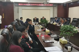 桃源县城投公司传达学习县委2020年经济工作会议精神
